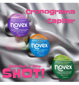 Shot de Cronograma HNR