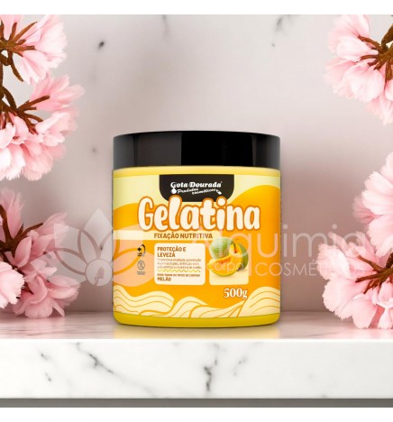 Gelatina Nutri Melão 500g