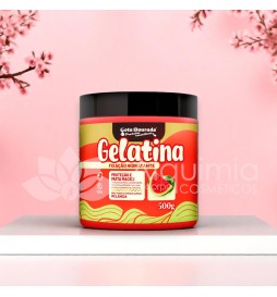 Gelatina Hidra Melan 500g