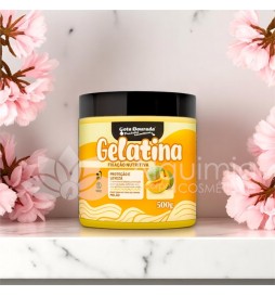Gelatina Nutri Melão 500g