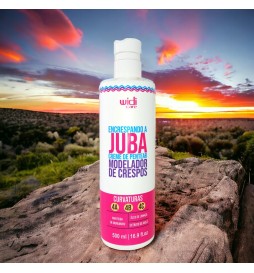 Creme Pentear Encrespando a Juba 500ml – Widi Care