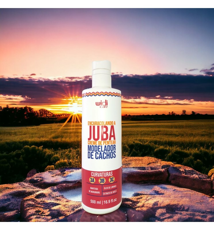 Creme Pentear Encaracolando a Juba 500ml – Widi Care