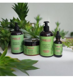 Kit Rosemary Mint -Mielle