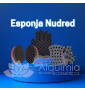 Esponja Nudred